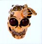 Klaxons: Sweetheart/Speedway..(Limited Edt.), MAX