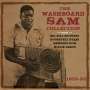 Washboard Sam: The Washboard Sam Collection 1935 - 1953, 3 CDs