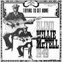 Blind Willie McTell: Trying To Get Home (180g), LP, LP