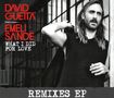 David Guetta: What I Did For Love, CDM