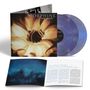 Morphine: The Night (remastered) (180g) (Purplish Hue Vinyl) (45 RPM), LP,LP