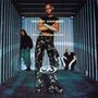 Skunk Anansie: Paranoid & Sunburnt, LP