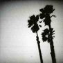 The Twilight Singers: Blackberry Belle, CD, CD