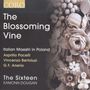 : The Sixteen - The Blossoming Vine, CD