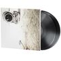 LCD Soundsystem: Sound Of Silver, 2 LPs, 2 LPs