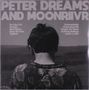 Im oberen Teil steht: "PETER DREAMS AND MOONRIIVR". Unten ist ein Mann von hinten in tropischem Hemd zu sehen., LP