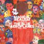 The Blue Aeroplanes: Magical Realism: The Best of the Blue Aeroplanes 1, LP,LP