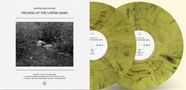 "Moving Mountains: Pruning of the Lower Limbs". Schwarz-weißes Foto von Landschaft, zwei gelblich marmorierte Schallplatten., 2 LPs