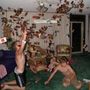 Drei junge Männer werfen spielend Karten in die Luft in einem Wohnzimmer mit bunten Möbeln und Teppich., LP