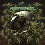 "HASHTRONAUT" und "NO RETURN" stehen über einem Astronautenhelm, umgeben von Cannabisblättern., LP