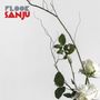 Flook: Sanju, CD