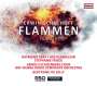 Erwin Schulhoff: Flammen, CD,CD