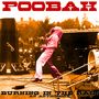 Poobah: Burning in the Rain: An Anthology, CD