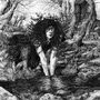 Am unteren Rand ist ein kleines Logo. Eine Frau mit lockigem Haar kniet an einem Bach in einem verwunschenen Wald., LP