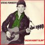 Steve Forbert: Jackrabbit (40th Anniversary) (remastered) (180g) (Green Vinyl), LP