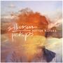 Silversun Pickups: Better Nature (180g), 2 LPs