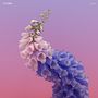 Flume: Skin: Limited Edition, LP