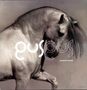 Gus Gus: Arabian Horse, 2 LPs, 2 LPs