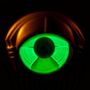 My Morning Jacket: Circuital, CD