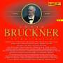 Anton Bruckner (1824-1896): Anton Bruckner - The Collection (Ausgabe 2017), 23 CDs