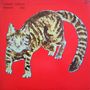 Yasuaki Shimizu: Kakashi, LP
