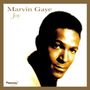 Marvin Gaye: Joy, CD