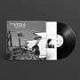 „The Veils - The Runaway Found“, Schallplatte mit Albumcover: Autoheckflossen und Yucca-Palme in Landschaft., LP