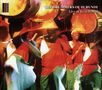 The Drummers Of Burundi: Live At Real World, CD, CD