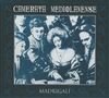 Camerata Mediolanense: Madrigali (Re-Release), 2 CDs