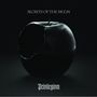 Secrets Of The Moon: Privilegivm (Limited Edition) (Grey Vinyl), 2 LPs, 2 LPs