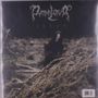 Dymna Lotva: Палын (wormwood), LP, LP