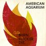 American Aquarium: Burn.Flicker.Die, CD