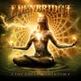 Edenbridge: The Great Momentum (180g) (Limited-Edition-Box-Set), 2 LPs und 2 CDs, 2 LPs und 2 CDs