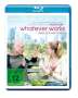 Woody Allen: Whatever Works - Liebe sich wer kann (Blu-ray), BR