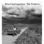 Bruce Springsteen: The Promise (180g), LP