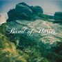 Band Of Horses: Mirage Rock (Deluxe Edition), CD,CD