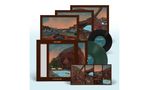Villagers: Fever Dreams (Limited Edition) (Dark Green Vinyl) (handsigniert) (exklusiv für jpc!), LP,SIN