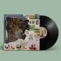 Animal Collective: Time Skiffs, LP,LP