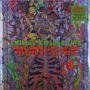 Animal Collective: Sung Tongs Live At The Theatre At Ace Hotel, LP,LP