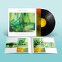 "JAMES ELLIS FORD - LOST IN ANOTHER WORLD" auf einem Albumcover, daneben eine Schallplatte und ein offenes Booklet., LP