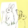 Beat Happening: Look Around, CD