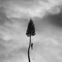 Manchester Orchestra: A Black Mile To The Surface, CD, CD