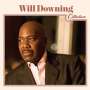 Will Downing: Collection, CD
