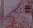 Soccer Mommy (Sophie Allison): Sometimes, Forever, CD, CD