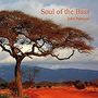 John Patitucci: Soul Of The Bass, CD