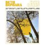 Beth Bombara: Evergreen, CD