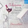 Georg Philipp Telemann: Trios & Quartette mit Traversflöte & Viola da gamba, CD