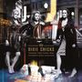 Dixie Chicks: Taking The Long Way (remastered) (150g), 2 LPs