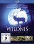 Jacques Perrin: Unsere Wildnis (Blu-ray), BR