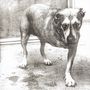 Alice In Chains: Alice In Chains, CD, CD